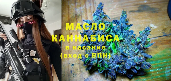 гидра Абаза