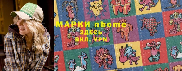 прущие грибы Саяногорск