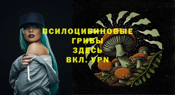 2c-b Алексеевка