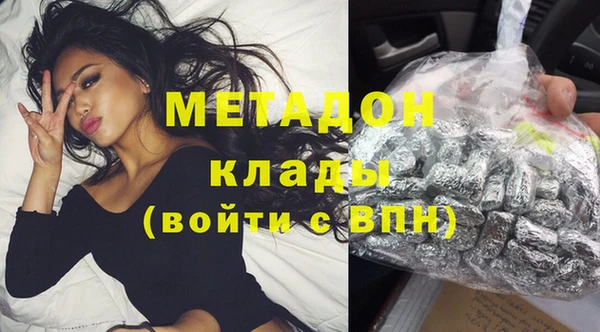 прущие грибы Саяногорск