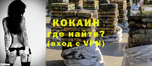 гидра Абаза