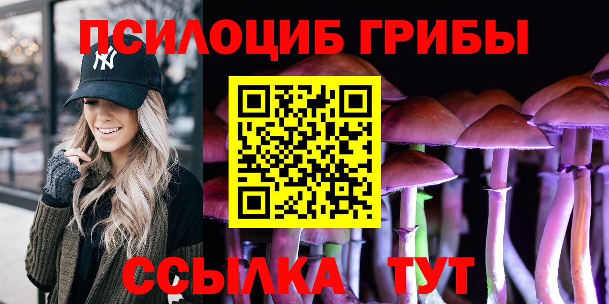 Псилоцибиновые грибы мицелий  Псилоцибиновые грибы Psilocybe  Богданович  Вход с VPN 